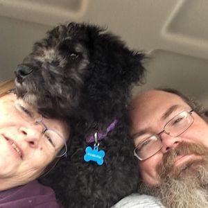 Meet your Posher, Wayde